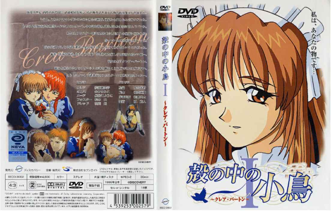 后入青岛碎花裙清纯学妹，学妹可约