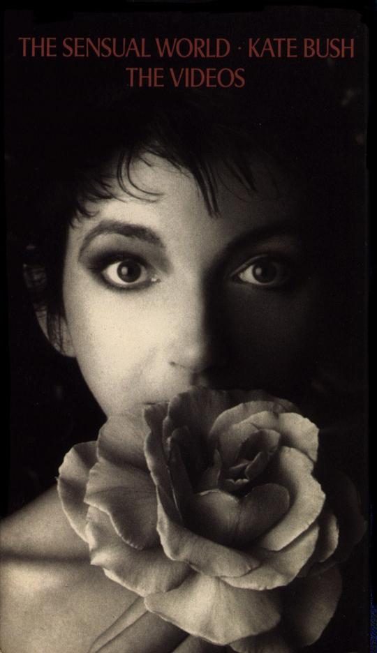 388 17:24新闻称四川御姐被迫暴力强制高潮羞辱母狗