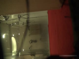 年轻少妇偷情中文字幕你老公不会突然回来放心吧不会那么快回来的