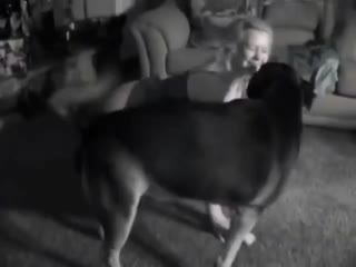 吃瓜三只羊前员工【袋鼠师妹】遭陌生男子夜闯女宿舍，并遭到主管要求介绍女朋友，后面袋鼠师妹就离职了