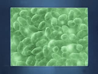 足疗技师 质量不错啊