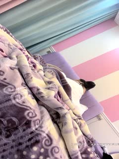 [亞洲無碼] [私人订制]极品巨乳炮友，从床上干到浴室[24:36]