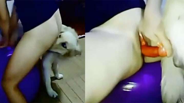 A6F51EF0 工作地方的妈妈 太漂亮的茶道老师 20240717 Info Only