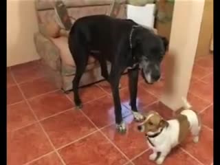 北野美奈巨臀泡泡浴 调皮服务舒心抚慰，番号MMKS032