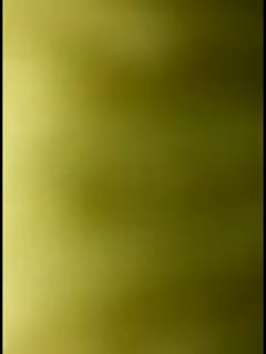 台灣av 我是護理師(三) 聽說學姐都是這樣過來的 身為專業的護理師，照顧好醫師的身体也是我的工作