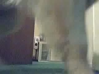 ALDN175 从今开始将妻子献上花抚彩